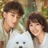 My Precious (Complete) | Download Chinese Drama
