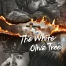 The White Olive Tree (Complete) | Download Chinese Drama