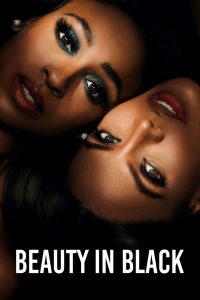 Read More About The Article Beauty In Black S01 (Complete) | Tv Series